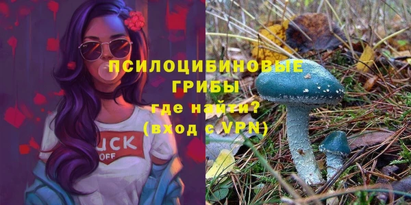 ешки Абдулино