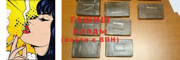крисы Сатка