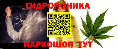 mdma Гусев